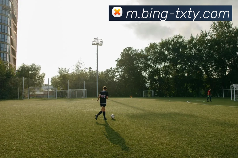 天行体育平台生态图